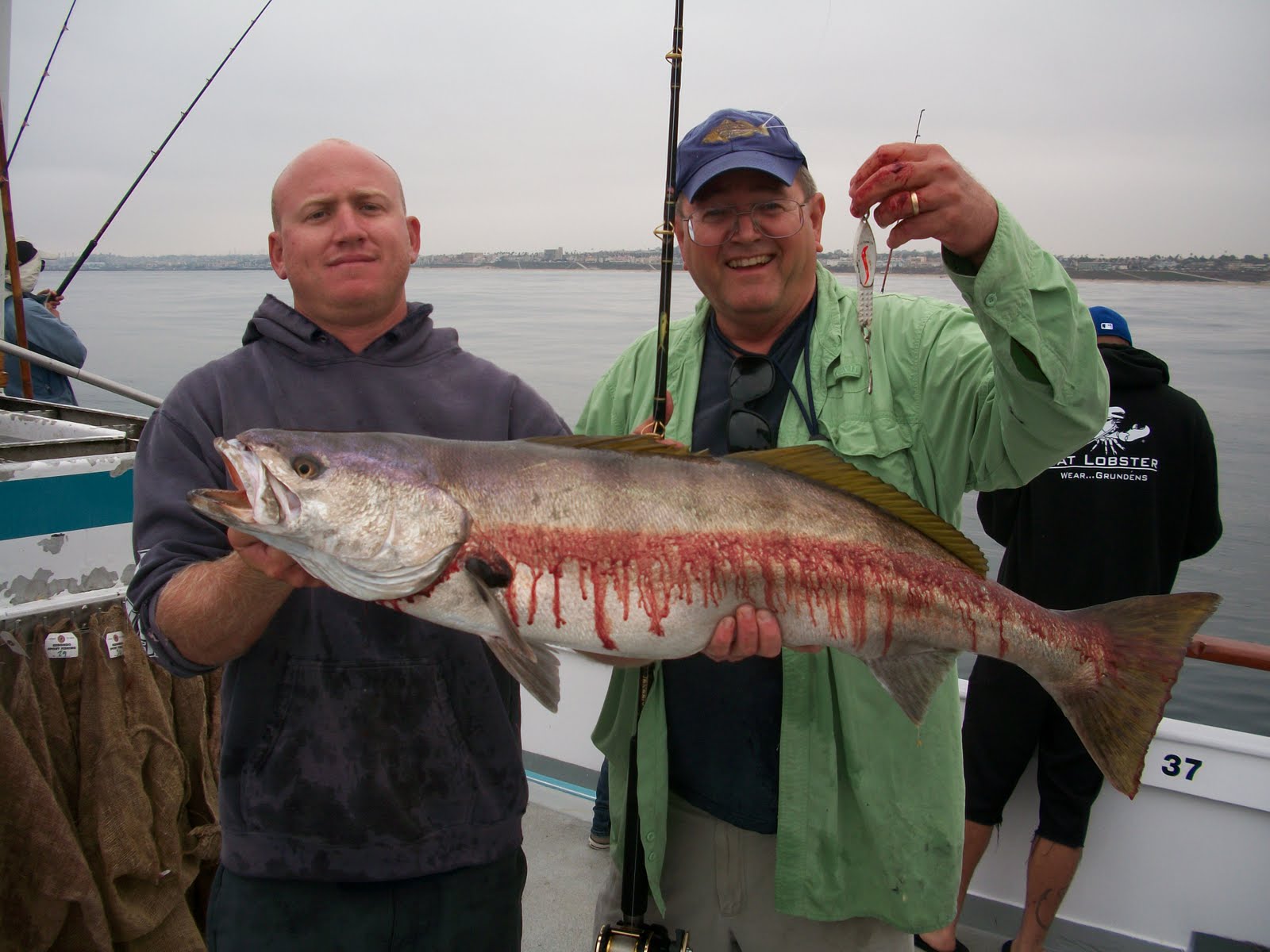El Jobo 22 POUND WHITE SEA BASS ON THE TRADITION